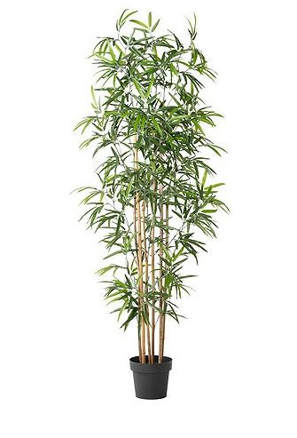 Noleggio Pianta artificiale Bambu' a Milano